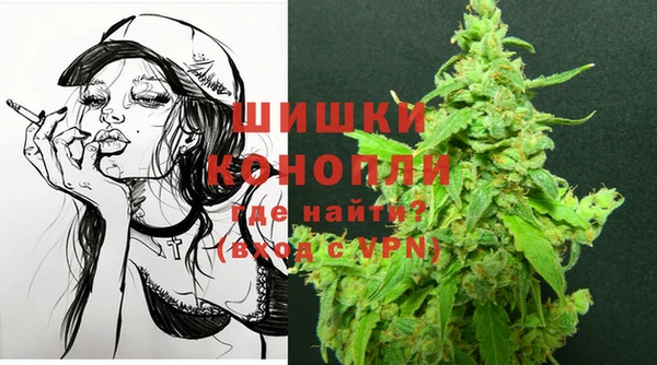 хмурый Михайловск