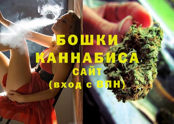 хмурый Михайловск