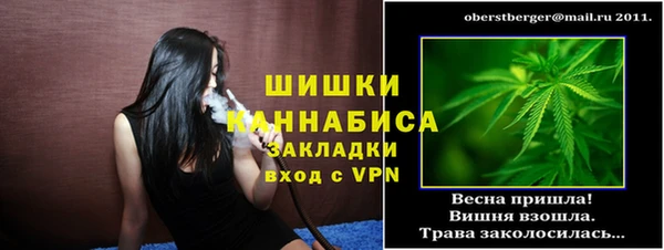 хмурый Михайловск