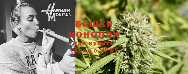хмурый Михайловск