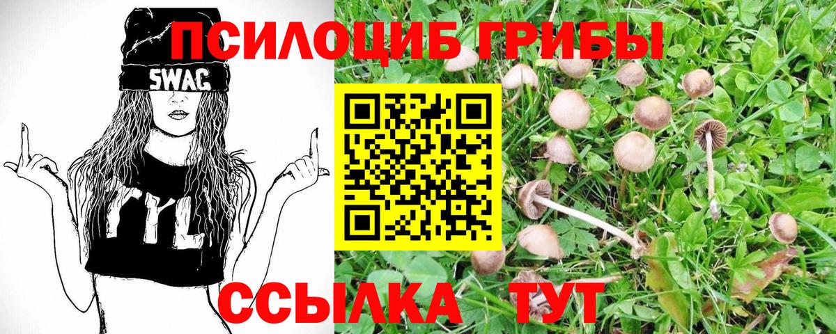 Псилоцибиновые грибы Cubensis  Вход с VPN  Псилоцибиновые грибы MAGIC MUSHROOMS  Таганрог 