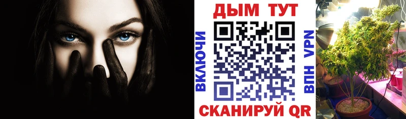 Конопля индика  Таганрог 